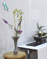 �r�V�����ԍ�i