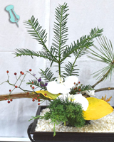 �r�V�����ԍ�i